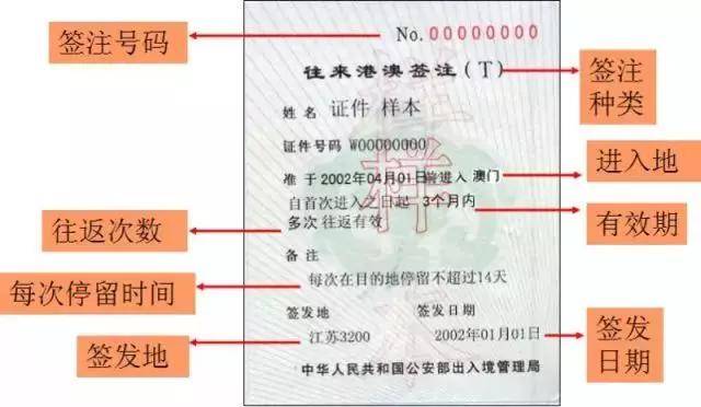 澳门最准的一码一码100准,功能性操作方案制定_XR85.336