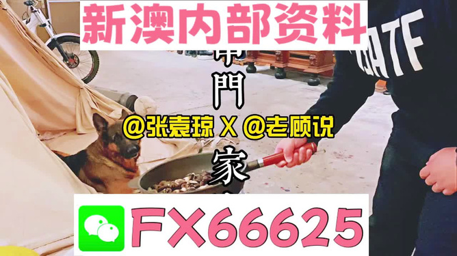 新澳门精准资料大全管家婆料,动态词语解释落实_免费版46.676