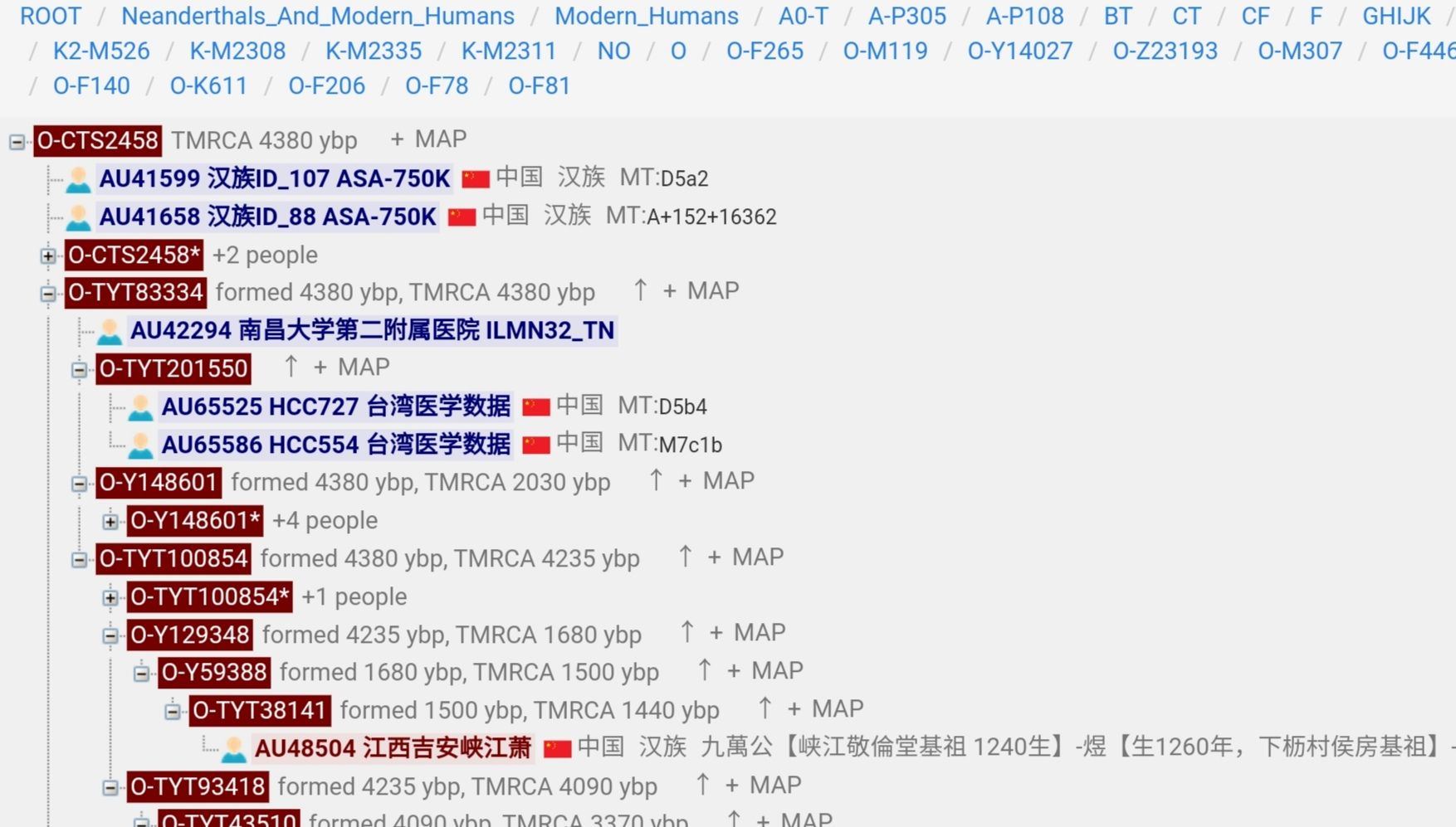 广东二站4796cc,经典解释落实_RemixOS38.914