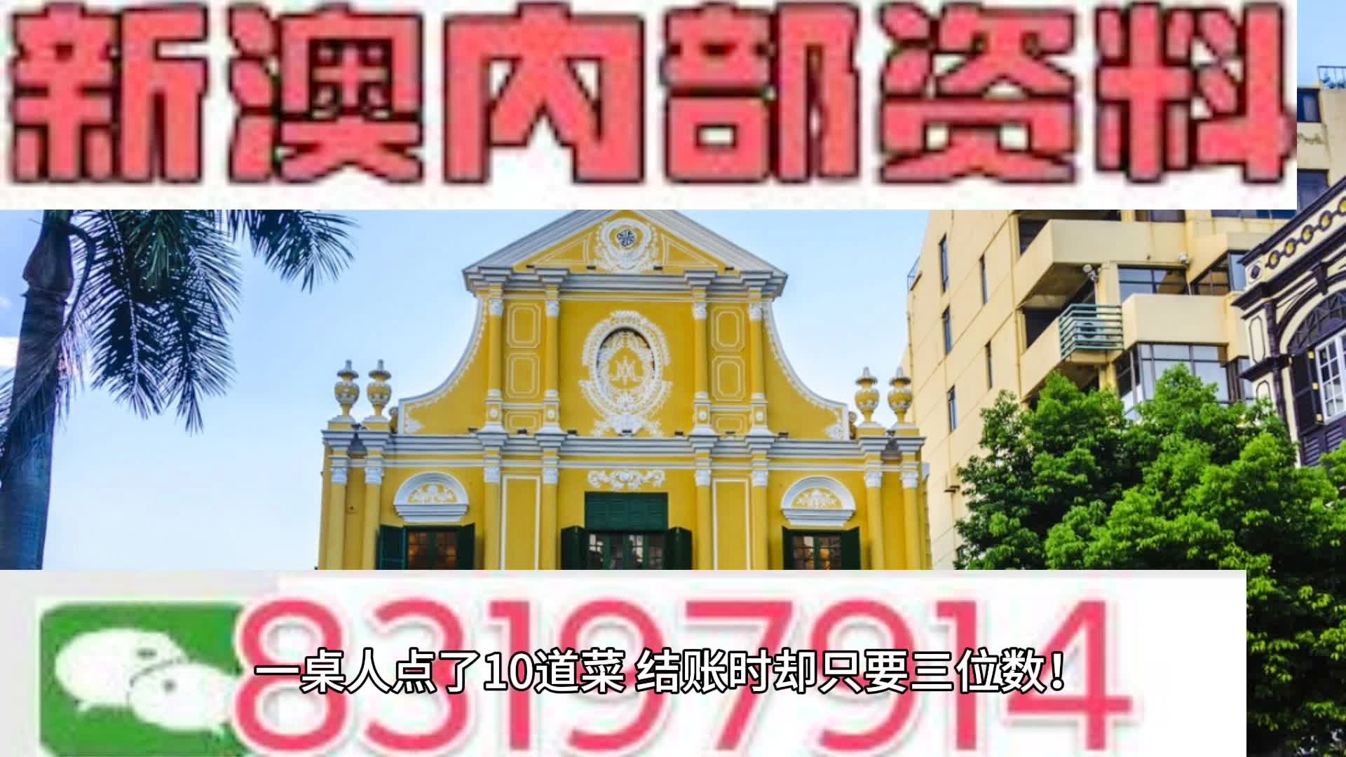 新澳门平特一肖100准,现状解答解释定义_尊享版94.127