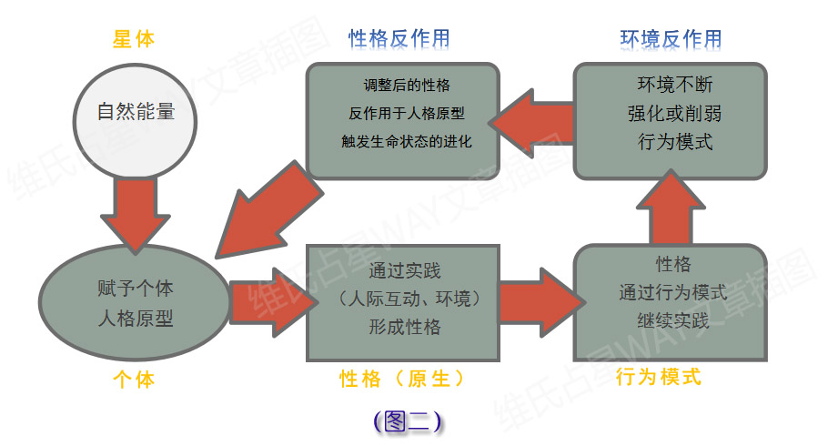 最准一码一肖100%噢,完善的执行机制解析_工具版19.754