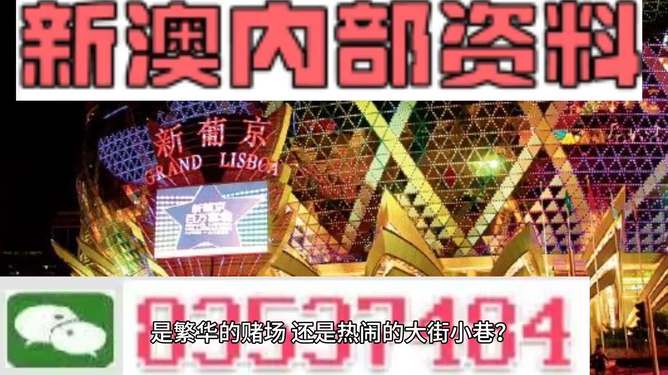 新澳门精准资料大全管家婆料,权威诠释推进方式_标准版62.810