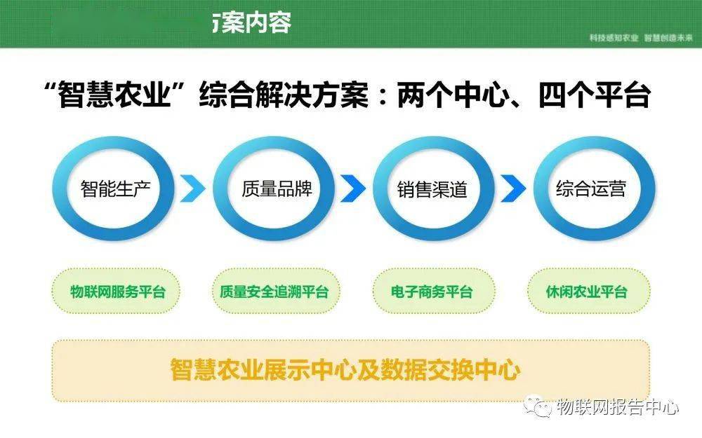 新奥门特免费资料大全凯旋门,迅捷解答策略解析_豪华版31.560